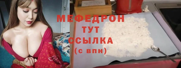 индика Новозыбков