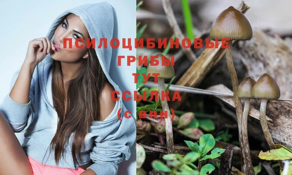 прущая мука Новодвинск