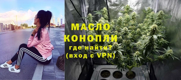 индика Новозыбков