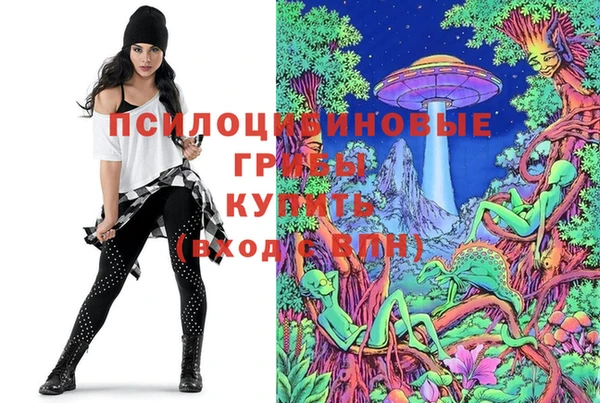 каннабис Новокубанск