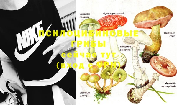 mdpv Нефтекумск