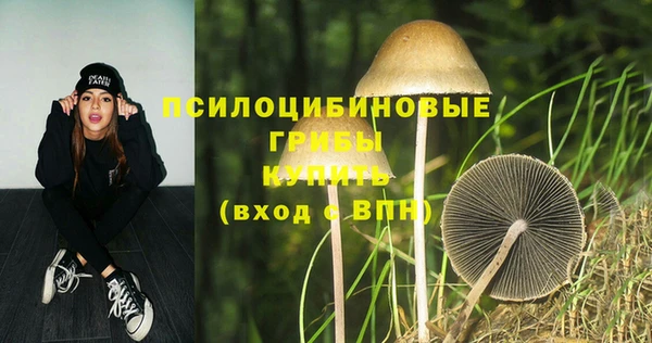 каннабис Новокубанск