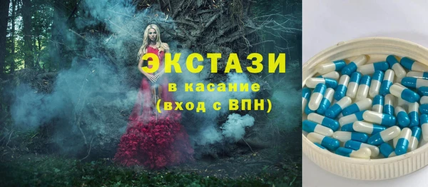 индика Новозыбков