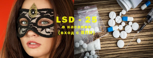 индика Новозыбков