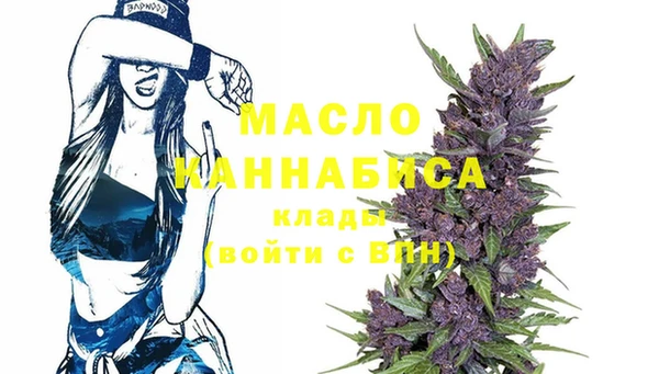 индика Новозыбков