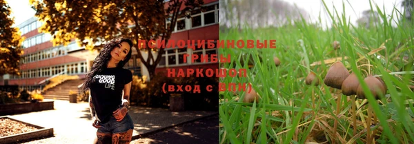 каннабис Новокубанск