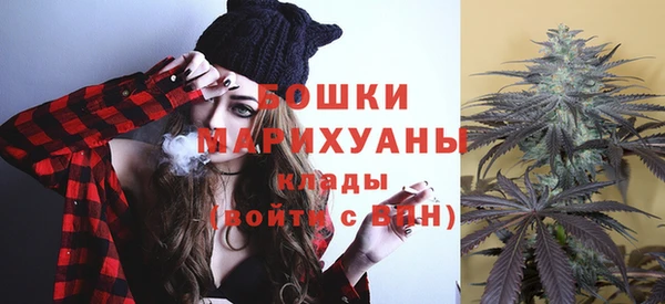 индика Новозыбков