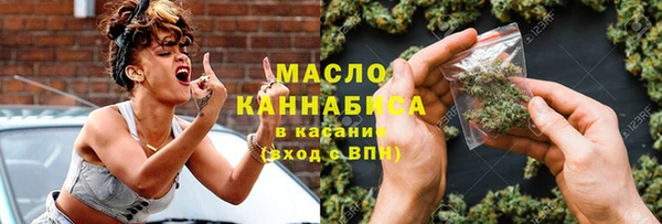 индика Новозыбков