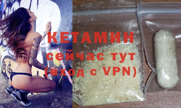 индика Новозыбков