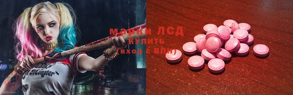индика Новозыбков