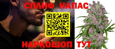 ГАЛЛЮЦИНОГЕННЫЕ ГРИБЫ Дубна