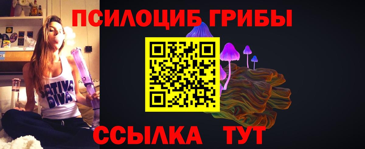 Нарткала  Галлюциногенные грибы мухоморы  Вход с VPN  Псилоцибиновые грибы Psilocybe 