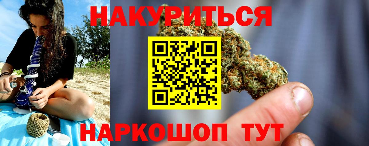 Конопля сатива Нарткала